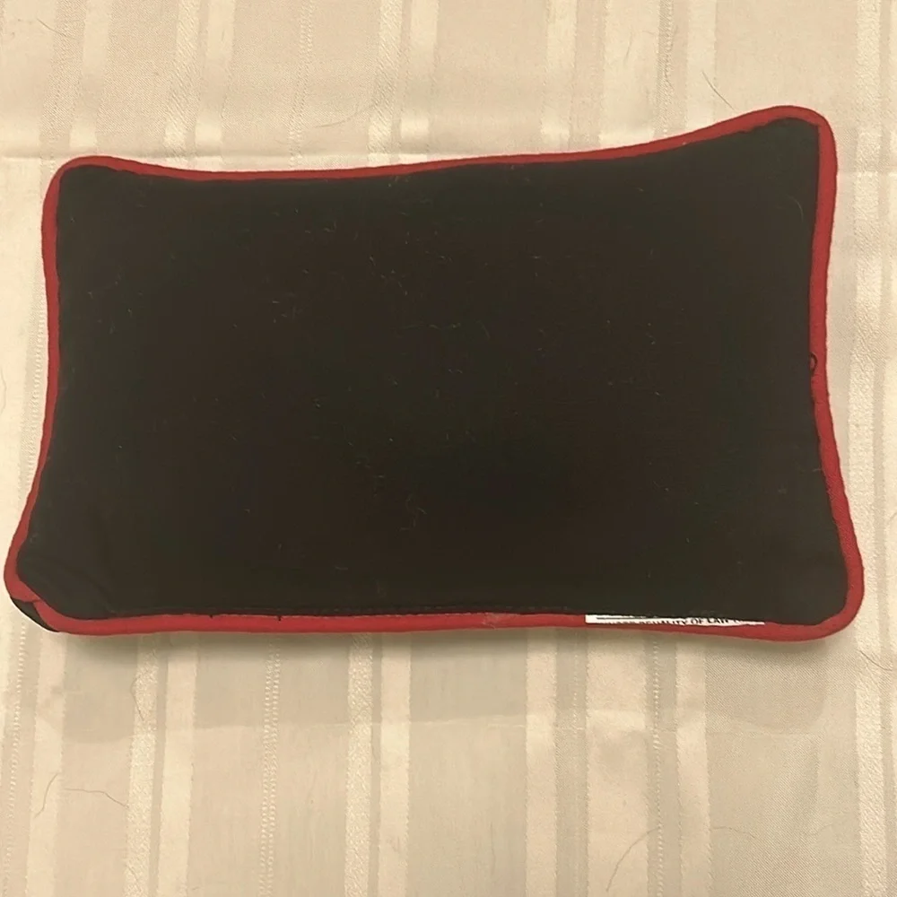 Music 🖤 Pillow
